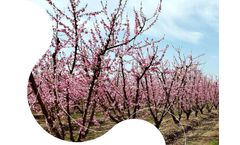 Biologicals Products for Vineyard & Orchard