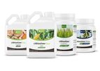 Rhizolizer - Supercharges Nutrient Uptake for Row Crops