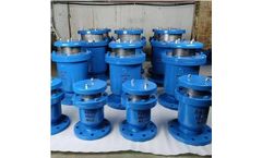 Topsun - Discharge Valve