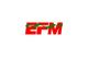 Environmental Fabrics de Mexico (EFM)