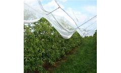 Anti-Hail Netting