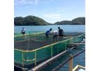 Aquaculture Netting