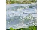 Anti-Insect Netting