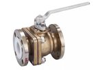 PFA Lined Ball Valves
