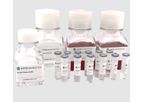 Gold Nanoparticle Conjugation Optimization Kit - Lateral Flow