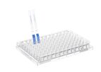 Model Human IgG Fc - Lateral Flow Dipstick Assay Kit