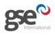 GSE International