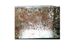 FIVEphoton - Model APC-1-FIVE - Allophycocyanin (APC) Fluorescent Protein