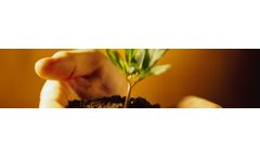 Environment Services