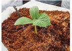 Kelpeat - Model Plus - Scientifically Decomposed Coconut Pith