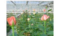 Soilrite - Model C - Horticulture Grade Expanded Perlite