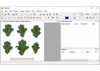 Digimizer - Easy-To-Use Image Analysis Software
