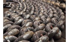 CSAC - Model R3-60mm - Mooring Chain used in Deep Sea Aquaculture
