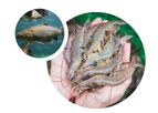 AquaScience - Aquaculture Solutions