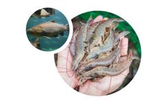 AquaScience - Aquaculture Solutions
