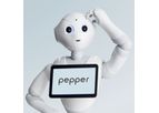 Model Pepper - Human Emotions Decoded, Embraced, Echoed.