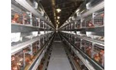 Poultry Cage - Video