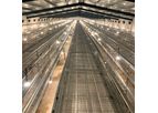 Broiler Cage