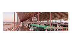 Hyhuis - Patented Flexible Stalls