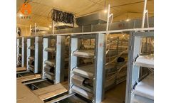 Broiler Single Cage