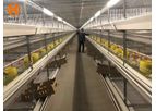 Broiler Double Cage