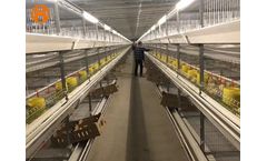 Broiler Double Cage