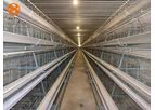 Model A Type - Layer Cage
