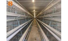 Model A Type - Layer Cage