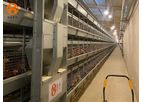 Pullet Cage