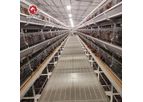 Silver Star - Model YXH5-240 and YXH5-90 - 650x625x500mm Layer Chicken Cage