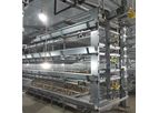 Silver Star - Model 4PH136 - 40000 Birds Baby Chick Cage