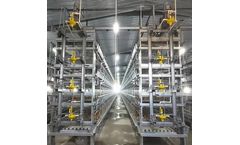 Silver Star - Model H4L192/A4L160/H4B208 - Q235 Poultry Farm Cage