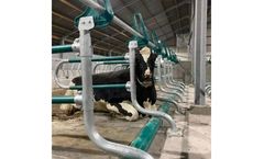 Royal de Boer - Model B3130 - Flexible Cow Cubicle