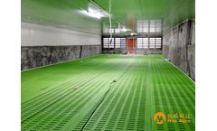 Plastic Slat Floor