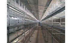 Broiler Battery Farming Cage