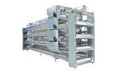 Taiyu - Model A Type - Automatic Layer Battery Cage System