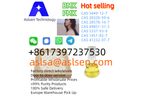 Aslsen - China's highest quality and best price factory direct sales 4'-Methylpropiophenone CAS 5337-93-9