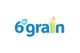 6th Grain