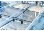 Cremer - Seed Counting Technology