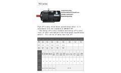 Kindly-MFG - Model Y2 Series - Three-Phase Asynchronous Electric Motor  - Brochure