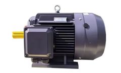 Kindly-MFG - Model Y2 Series - Three-Phase Asynchronous Electric Motor