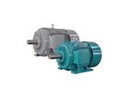 Kindly-MFG - Model Y Series - Three-Phase Asynchronous Electric Motor