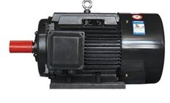 Kindly-MFG - Model YE 2 Series - Three-Phase Asynchronous Motor