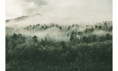 Monitoring and Management of Forests, Vegetation, Valleys, and Public Parks, Fires and Natural Disasters Services