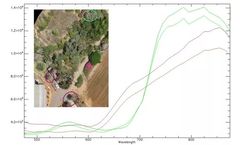 Remote Sensing Solution