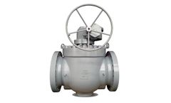 Vihung - Model API 6D - Top Entry Ball Valve