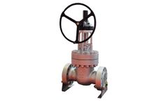 Vihung - Model API 600 - VHV - Bolted Bonnet Gate Valve