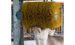 Cattle Brushes
