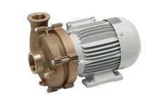 WINTER - Model Type Series 21 - Civil Engineering Pumps