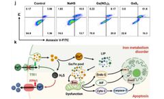 FongCyte™ flow cytometer by Challenbio promotes the innovative application of biomaterial gallium sulfide in tumor synergistic therapy.